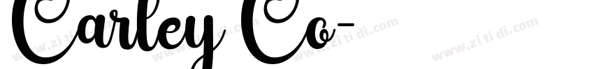 Carley Co字体转换